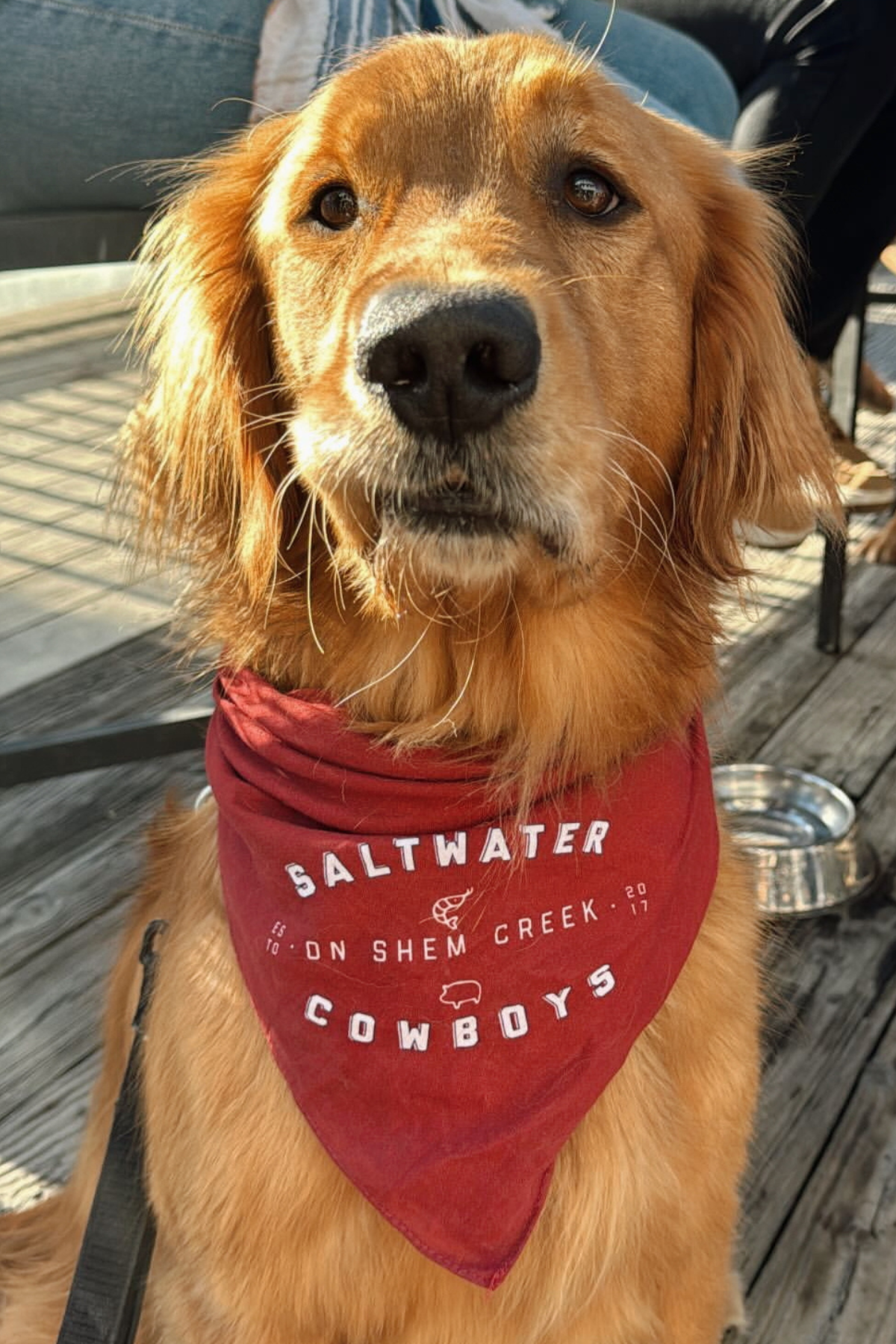 SWC RED DOG BANDANA