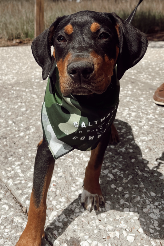 SWC CAMO DOG BANDANA
