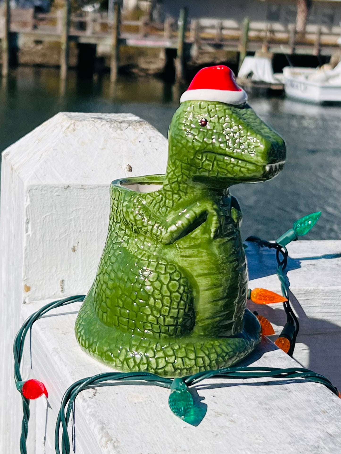 SANTAREX MUG- MIRACLE AT SALTWATER