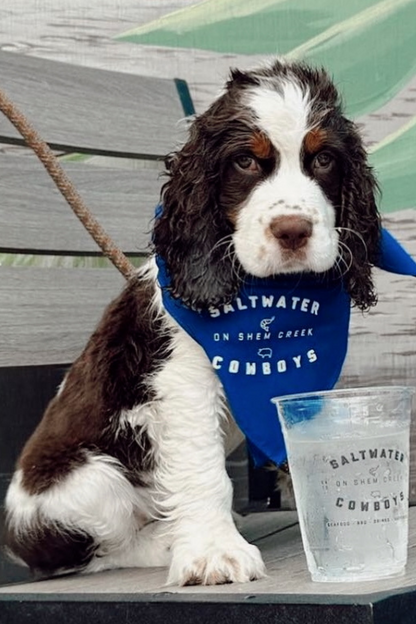 SWC BLUE DOG BANDANA