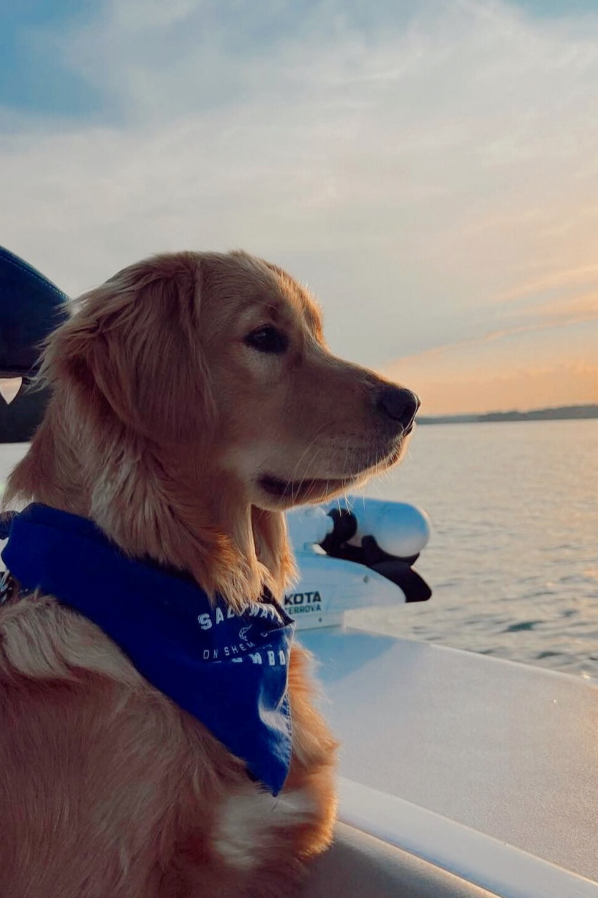SWC BLUE DOG BANDANA