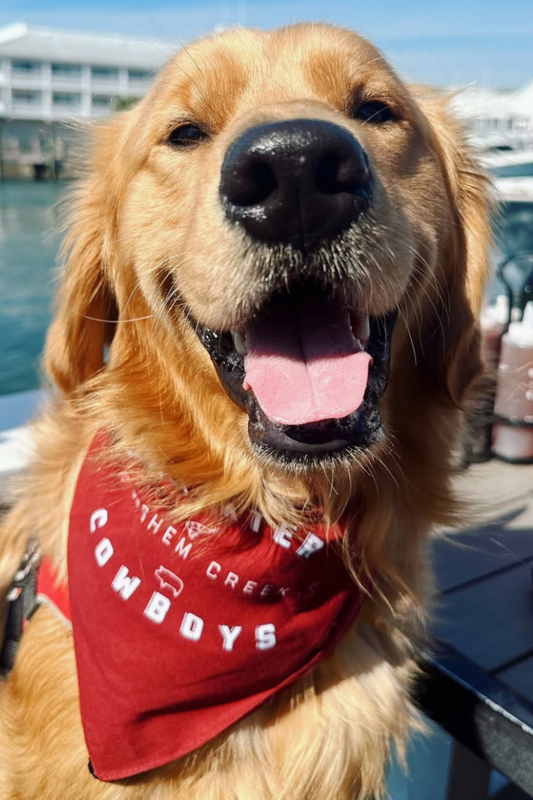 SWC RED DOG BANDANA