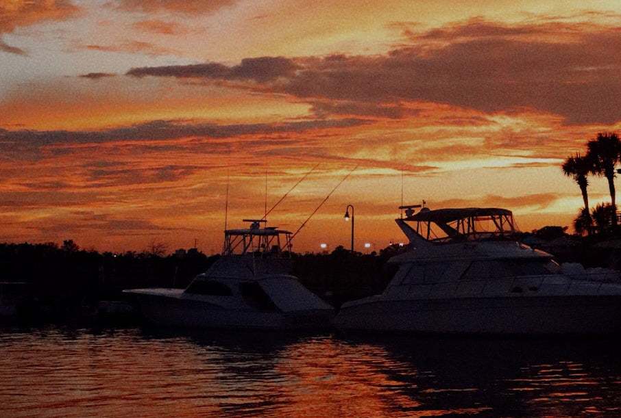 Sunset over Shem Creek in Charleston, SC with boats and silhouettes of palm trees.